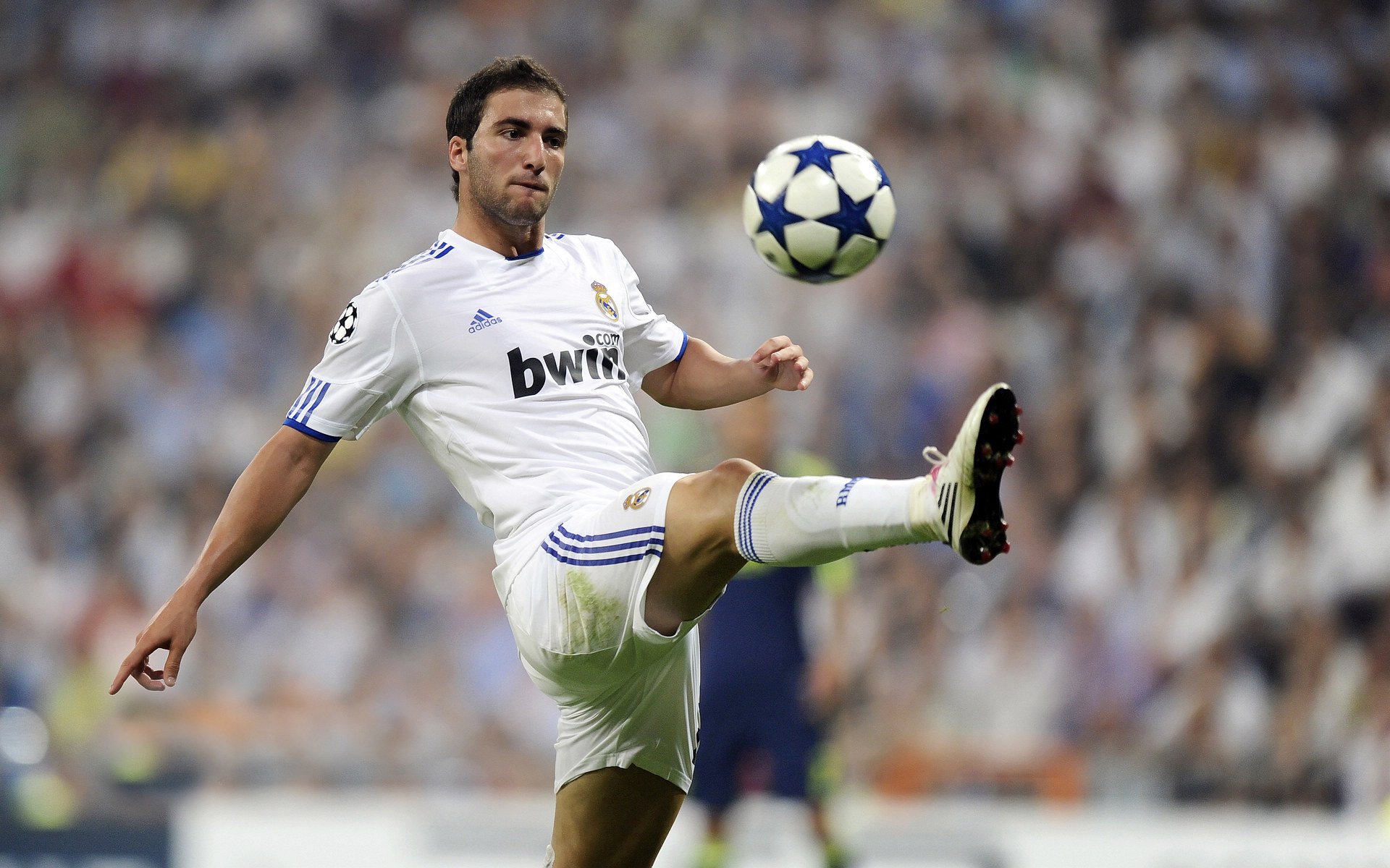 “德甲最后冲刺，争冠战火再度点燃”，德甲结局